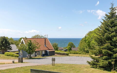 Lahja - 400M from the Sea: Vegetation, Shrub, Spring, Cottage, Garden, Shade, Backyard, Yard, Chair
