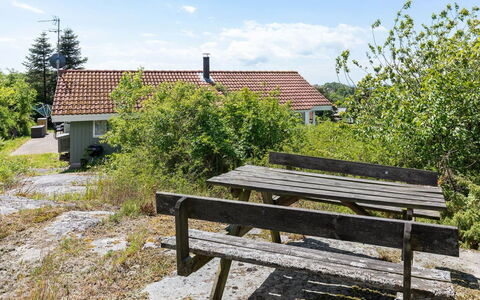 Lahja - 400M from the Sea: Vegetation, Shrub, Spring, Cottage, Garden, Shade, Backyard, Yard, Chair