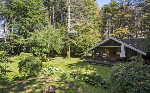 Iskra - 900M from the Sea: House, Cottage, Home, Shrub, Roof, Garden, Land Lot, Groundcover, Spring