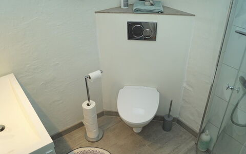 Seppe - 500M from the Sea: Toilet Seat, Toilet, Plumbing Fixture, Bathroom, Flooring, Floor, Interior Design, Plumbing, Tile