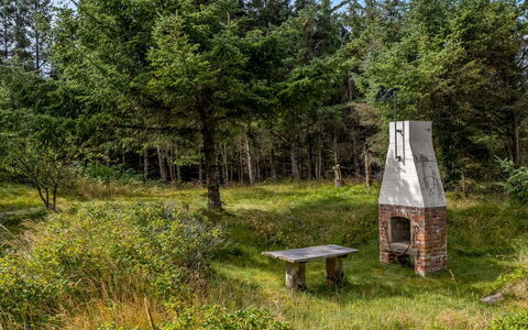 Matilda - 375M from the Sea: Grass, Tree, Natural Environment, Shrub, Grassland, Land Lot, Plant Community, Trunk