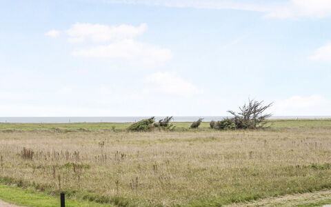 Into - 400M from the Sea: Sky, Grass, Grassland, Horizon, Plain, Ecoregion, Vegetation, Natural Landscape, Cloud, Land Lot