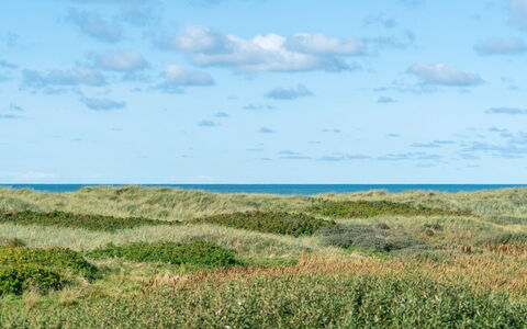 Anne - 100M from the Sea: Blue, Sky, Grass, Natural Environment, Grassland, Vegetation, Horizon, Ecoregion, Cloud, Natural Landscape