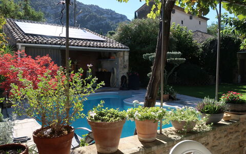 La Croix du Puits: Flower, Plant, Property, Flowerpot, Building, Sky, Houseplant, Tree, Shade, House