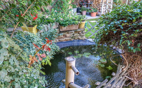 La Croix du Puits: Plant, Water, Botany, Leaf, Vegetation, Grass, Biome, Watercourse, Shrub, Woody Plant
