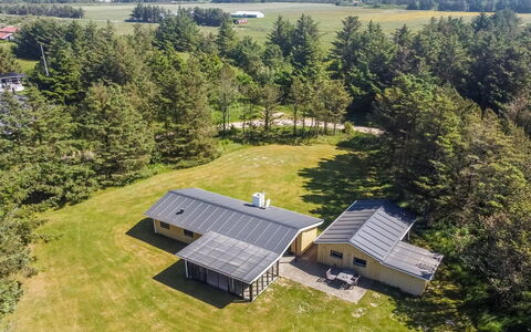 Biergh - 600M from the Sea: Plant Community, Sunlight, Herbaceous Plant, Garden, Plantation, Agriculture, Farm