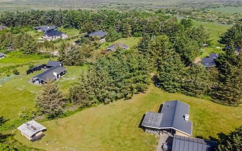 Biergh - 600M from the Sea: Plant Community, Sunlight, Herbaceous Plant, Garden, Plantation, Agriculture, Farm