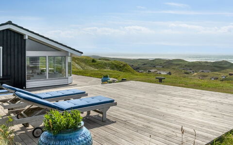 Alyssa - 300M from the Sea: Plant Community, Sunlight, Herbaceous Plant, Garden, Plantation, Agriculture, Farm