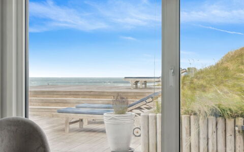 Alyssa - 300M from the Sea: Plant Community, Sunlight, Herbaceous Plant, Garden, Plantation, Agriculture, Farm