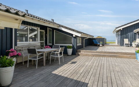 Alyssa - 300M from the Sea: Plant Community, Sunlight, Herbaceous Plant, Garden, Plantation, Agriculture, Farm