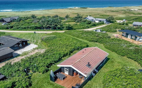 Myriam - 200M from the Sea: Plant Community, Sunlight, Herbaceous Plant, Garden, Plantation, Agriculture, Farm