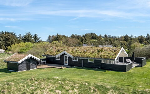 Eddi - 550M from the Sea