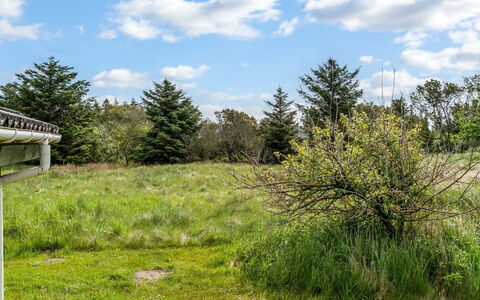 Aponi - 400M from the Sea: Sky, Grass, Natural Environment, Grassland, Vegetation, Cloud, Shrub, Plain, Ecoregion, Land Lot