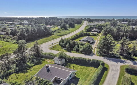 Eden - 800M from the Sea: Plant Community, Sunlight, Herbaceous Plant, Garden, Plantation, Agriculture, Farm