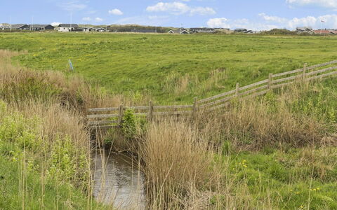 Ilmatar - 650M from the Sea: Plant Community, Sunlight, Herbaceous Plant, Garden, Plantation, Agriculture, Farm