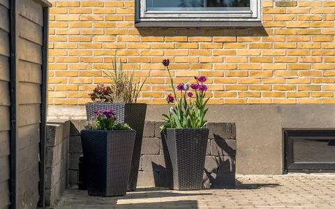 Nayeli - 275M from the Sea: Flowerpot, Composite Material, Houseplant, Floristry, Concrete, Brick, Garden, Flagstone