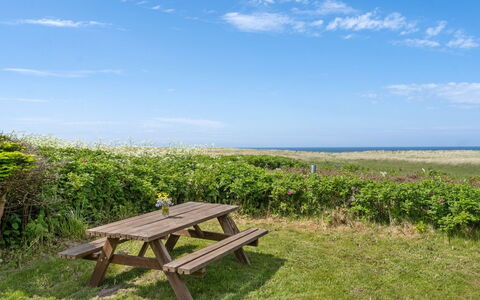 Marit - 150M from the Sea: Plant Community, Sunlight, Herbaceous Plant, Garden, Plantation, Agriculture, Farm