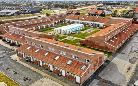 Emiliana - 500M from the Sea: Plant Community, Sunlight, Herbaceous Plant, Garden, Plantation, Agriculture, Farm