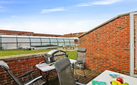 Emiliana - 500M from the Sea: Plant Community, Sunlight, Herbaceous Plant, Garden, Plantation, Agriculture, Farm