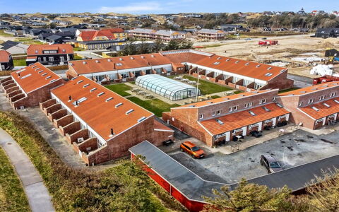 Emiliana - 500M from the Sea: Plant Community, Sunlight, Herbaceous Plant, Garden, Plantation, Agriculture, Farm