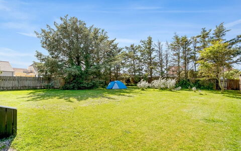 Lazorka - 450M from the Sea: Blue, Land Lot, Garden, Plain, Lawn, Shade, Yard, Meadow, Landscaping, Backyard