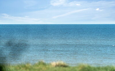 Trifun - 50M from the Sea