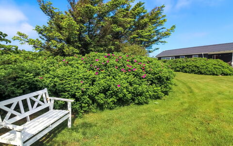 Violeta - 250M from the Sea: Flower, Shrub, Pink, Garden, Groundcover, Purple, Spring, Lawn, Meadow, Landscaping