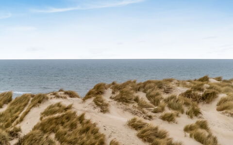 Radica - 50M from the Sea: Blue, Natural Environment, Sand, Ecoregion, Horizon, Beach, Coast, Sea, Shore