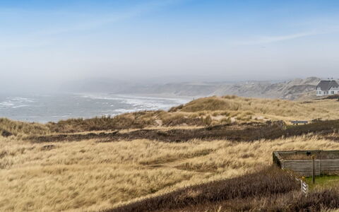 Radica - 50M from the Sea: Sky, Grass, Natural Environment, Ecoregion, Horizon, Grassland, Steppe, Plant Community, Terrain, Plain