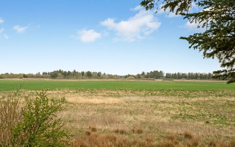 Harri - 850M from the Sea: House, Home, Door, Roof, Cottage, Estate, Garden, Shade, Siding, Yard