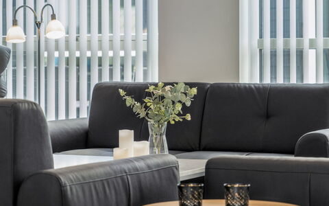 Dwerg - 1.5Km from the Sea: Houseplant, Living Room, Lamp