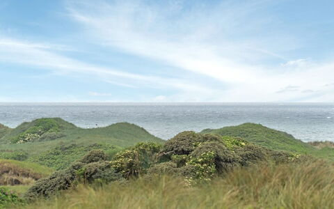 Viktoria - 400M from the Sea: Sky, Blue, Green, Grass, Cloud, Horizon, Vegetation, Natural Landscape, Hill, Highland