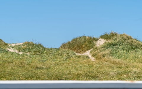 Hilka - 75M from the Sea: Blue, Grass, Natural Environment, Ecoregion, Grassland, Landscape, Terrain, Slope, Steppe