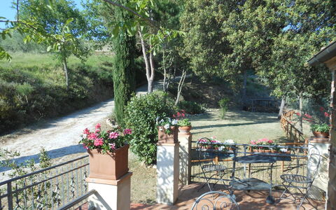 Casa Mulinello: Plant, Flower, Tree, Flowerpot, Outdoor Furniture, Shade, Houseplant, Grass, Outdoor Table, Leisure