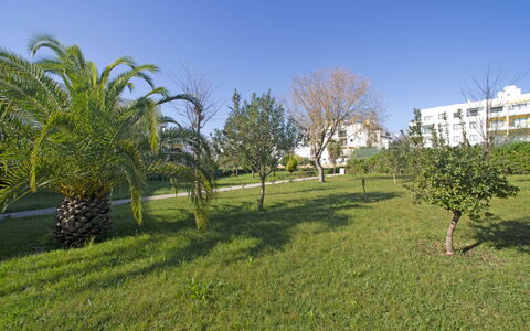 Garden Place: Water, Sky, Cloud, Water Resources, Plant, Natural Landscape, Azure, Natural Environment, Wood, Coastal And Oceanic Landforms