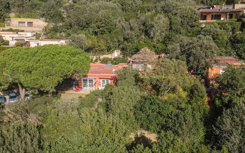 Villa Marzia Mare & Golf: Plant Community, Plant, Building, Natural Landscape, Tree, Window, Vegetation, Land Lot, Urban Design, House