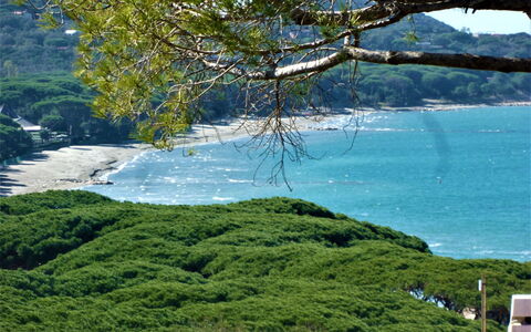 Villa Marzia Mare & Golf: Water, Water Resources, Plant, Natural Landscape, Tree, Branch, Vegetation, Highland, Lake, Coastal And Oceanic Landforms