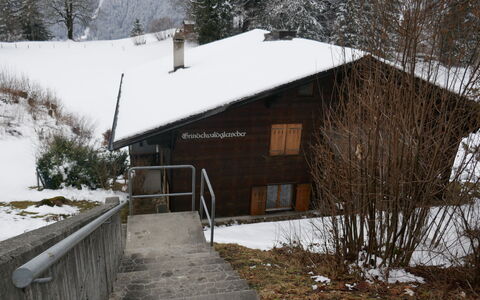 Chalet Grindelwaldgletscher: Snow, Plant, Building, Window, Tree, Wood, Slope, House, Cottage, Landscape