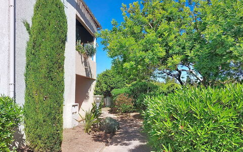 Terre Marine: Green, Leaf, Shrub, Garden, Spring, Hedge, Shade, Landscaping, Evergreen