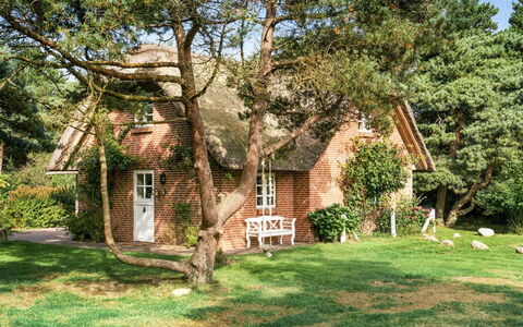 Ariela - 1.1Km from the Sea: Thatching, Cottage, House, Roof, Home, Farmhouse, Hut, Estate, Village