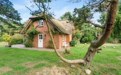 Ariela - 1.1Km from the Sea: Thatching, Cottage, House, Roof, Home, Farmhouse, Hut, Estate, Village