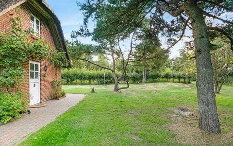 Ariela - 1.1Km from the Sea: Thatching, Cottage, House, Roof, Home, Farmhouse, Hut, Estate, Village