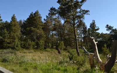 Harthwik - 1Km from the Sea