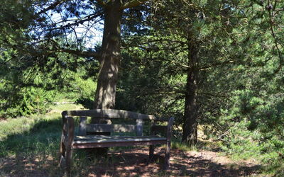 Tirsa - 3.9Km from the Sea