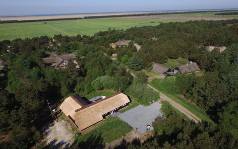 Ellanor - 1Km from the Sea: Landscape, Roof, Land Lot, Rural Area, Plain, Cottage, Bird'S-Eye View, Plantation, Aerial Photography, Estate