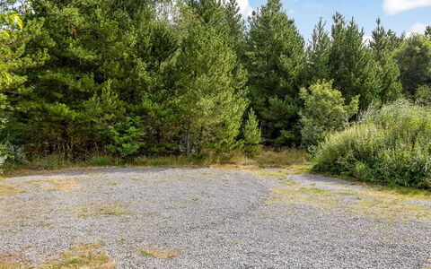 Ellanor - 1Km from the Sea: Grass, Tree, Leaf, Vegetation, Shrub, Forest, Plant Community, Wilderness, Nature Reserve