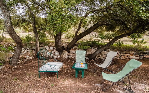 Saint Saturnin D'Apt 105: Tree, Nature Reserve, Botany, Woody Plant, Woodland, Plant, Grass, Table, Adaptation, State Park