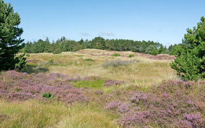 Siegried - 2.2Km from the Sea