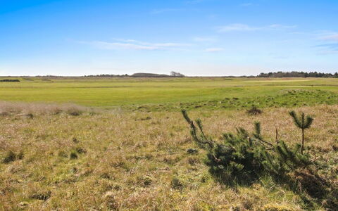 Maura - 2.3Km from the Sea: Building, House, Window, Home, Roof, Residential Area, Shrub, Cottage, Land Lot