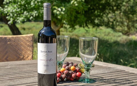 Mojag - 1Km from the Sea: Bottle, Wine, Red Wine, Wine Bottle, Glass Bottle, Barware